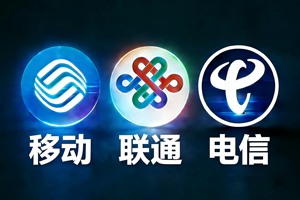 手机号码三网分离功能界面